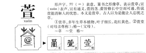 萱的名字|带萱字的女孩名字，用萱字起名